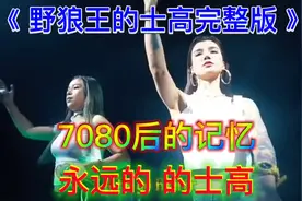 顶级车载舞曲《野狼王的士高完整版》经典DJ串烧，激情澎湃嗨翻天视频封面
