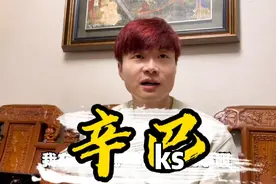 帝师:某平台我谁都不服，就佩服辛巴视频封面