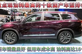 现油耗最高的10款国产车，销量好但用车成本高，高达12个油，真坑视频封面