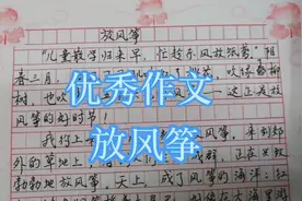 优秀作文，放风筝视频封面