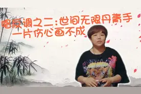 唱反调之二：世间无限丹青手，一片伤心画不成视频封面