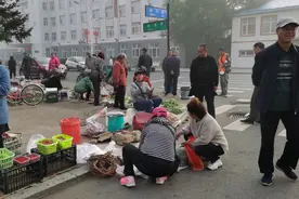 比鹤岗房子还便宜的小镇，比维也纳还干净的小城，黑龙江第一小县视频封面