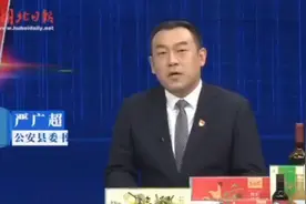 县委书记介绍：我的美丽家乡，公安县视频封面