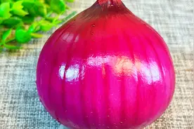 朋友给我介绍的洋葱减肥法，每天1个，腰围瘦了一大圈，太神奇了