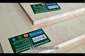兔宝宝板材介绍视频封面