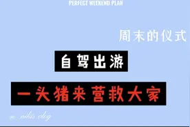 一头猪用智慧普渡了大家！视频封面