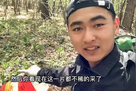 带你走进东北林区，看各式各样的山菜，有些自己都不认识！