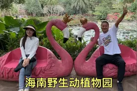 海南热带野生动植物园，带小森去看动物，太开心了视频封面