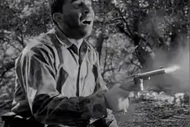 美国《恐惧与欲望》视频封面