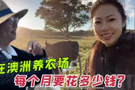 农场主和我们说说在澳洲买农场每个月都有哪些花费？能养的起吗？视频封面