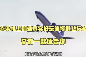 盘点手机上那些真实好玩的模拟飞行游戏，总有一款适合你