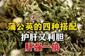蒲公英的四种搭配，护肝又利胆，肝强一倍视频封面