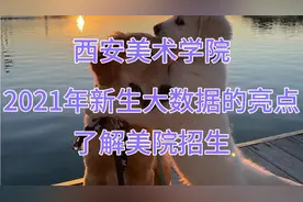 452：美术生的“白月光”～西美新生大数据有亮点👀☺️视频封面