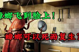 蟑螂飞到脸上！蟑螂可以死而复生？蟑螂到底该如何消灭？视频封面