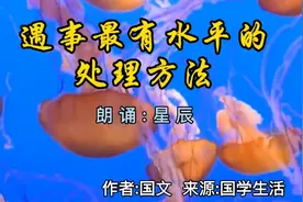 遇事不惊，从容面对，遇事最有水平的处理方法视频封面