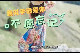 我做了一个梦，爱上一个人，不愿醒来，不愿忘记。视频封面