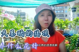 高温炎热的楼顶花园，到底养些什么品种的花卉比较好呢？视频封面