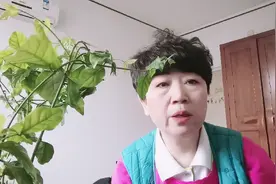 ＃古诗朗诵《闻官军收河南河北》唐一一杜甫视频封面