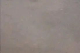 红鲤鱼在交配产卵视频封面