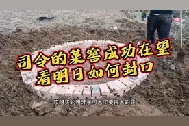 东北农民冬天囤菜用的地窖是如何建成，司令的百年大计菜窖