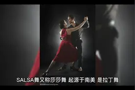 什么叫沙沙舞?视频封面