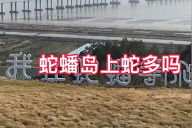 探究：浙江台州有个叫蛇蟠的岛，岛上真的有蛇吗？视频封面