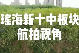 瑶海区新十中板块和肥东大众路板块最新上帝航拍视角，一起欣赏吧视频封面