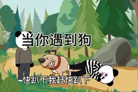 搞笑沙雕动画 第20集 发你遇到狗追你怎么办视频封面