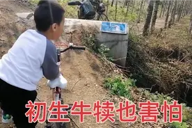 姥爷领外孙去骑行  言传骑技身教交规还是惊慌  摔跤追尾  险些…视频封面