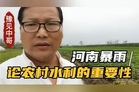 河南暴雨，论农村水利的重要性，为什么下雨水排不出去农田被淹视频封面