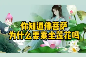 你知道佛菩萨为什么要乘坐莲花吗视频封面