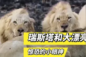 坏男孩联盟，亚成年时期的坏男孩，瑞斯塔与大漂亮！视频封面