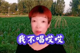 李树建老师的红楼赞花 原来狗尾巴花是能治人老两眼花的光明草视频封面