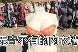 无奇不有的胸罩墙视频封面