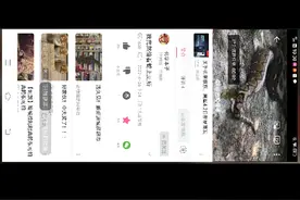 蛇居然会上厕所非原创搬运的视频封面