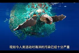 真菌只需要几周的时间，就可完全分解塑料视频封面