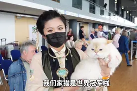 我家猫成为世界冠军了，德国赛猫天花板真的不好当