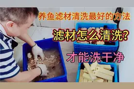 养鱼滤材可以说好多人都没有清洗干净，滤材怎么清洗？才能洗干净视频封面