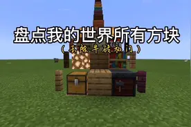 我的世界：盘点我的世界所有方块