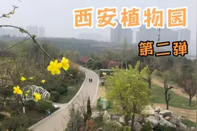 春游西安植物园，听说里面有几千种花，去看看，结果意料之外视频封面