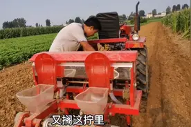 探索玉米在河南一年种两季模式，8月播种，大家认为怎么样，能成视频封面