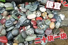 便宜，捡回鹅卵石，二十块一块，爱好者的最爱，大自然的瑰宝！视频封面