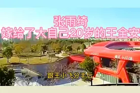 张雨绮嫁给了大自己20岁的王全安视频封面