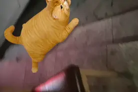 ygzvf视频封面