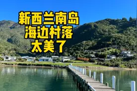 新西兰南岛海边农村，有人在这住了36年养老，有所不一样的学校视频封面