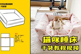 全身可拆洗猫窝制作过程，做好后猫主子们纷纷争抢！视频封面