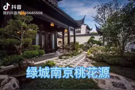 【绿城南京桃花源】精装311平带电梯视频封面