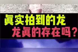 真实拍到的龙视频封面