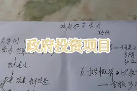 项目管理-政府投资项目视频封面