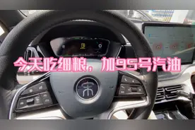 比亚迪宋plusdmi提车到现在半年了，第一次吃细粮，破天荒加95号